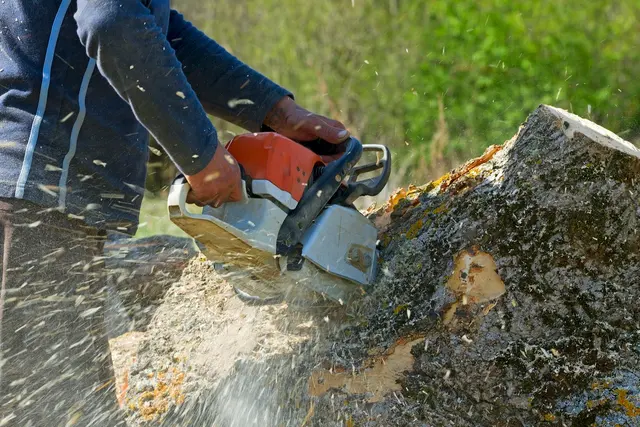 Allstate Tree & Shrub Corp. — photo from the business 5
