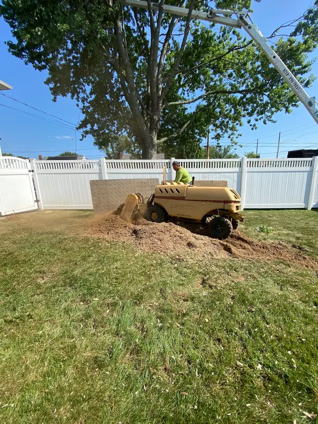 Allstate Tree & Shrub Corp. — photo from the business 3
