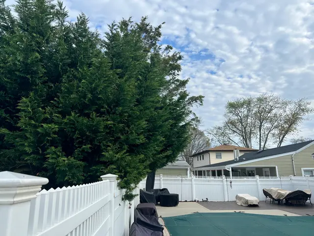 Allstate Tree & Shrub Corp. — customer photo 9