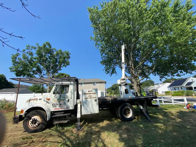 Allstate Tree & Shrub Corp. — photo from the business 2
