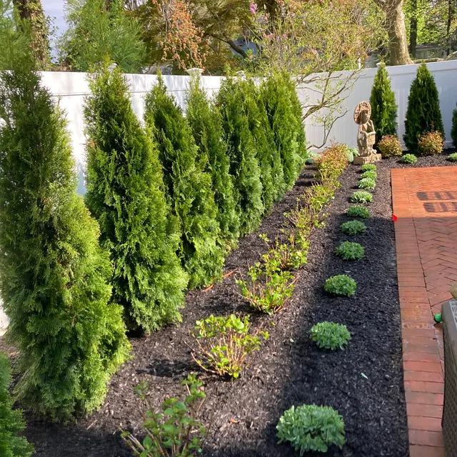 Woody Tree Service, Inc. — photo from the business 12