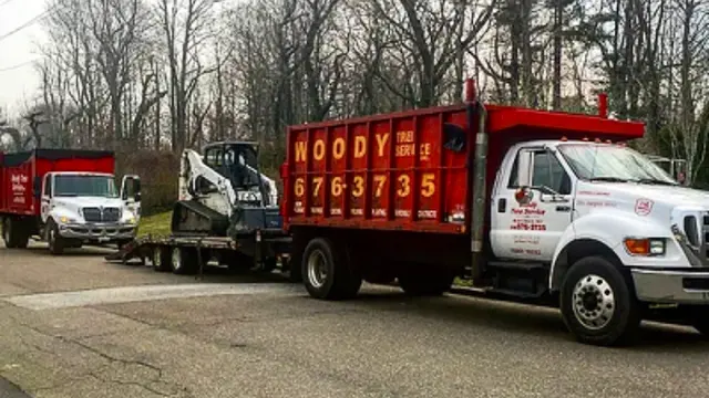 Woody Tree Service, Inc. — photo from the business 1