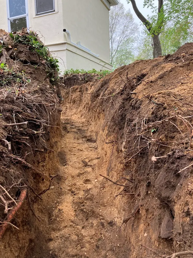 Woody Tree Service, Inc. — photo from the business 3