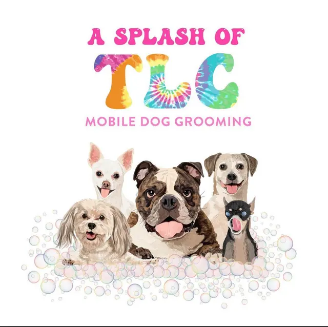 A Splash of TLC - A Top Mobile Dog Groomer — photo from the business 1
