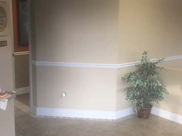 Carbondale Chiropractic Injury Clinic — photo from the business 6