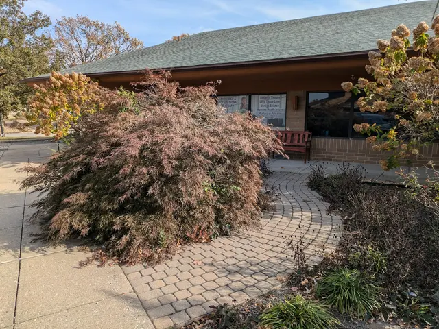 Synergy Therapeutic Group — customer photo 1