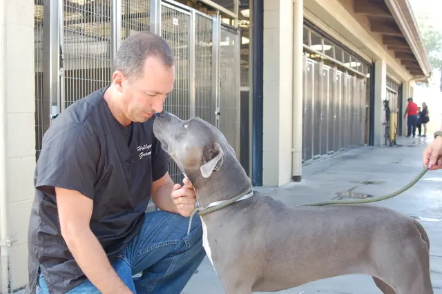 Hollywood Mobile Grooming — photo from the business 5