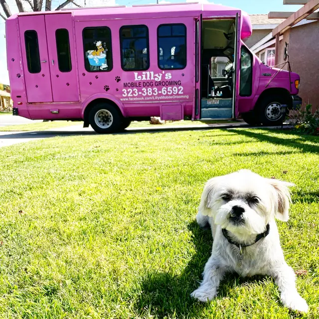 Lilly's Mobile Grooming — photo from the business 8