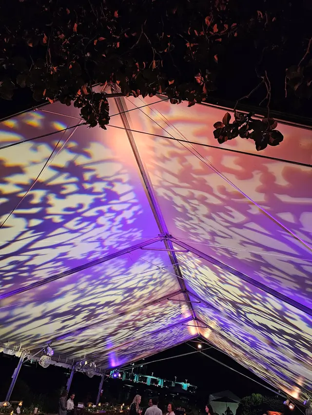 Customer photo of work by Big Top Entertainment, from David Lammie's review