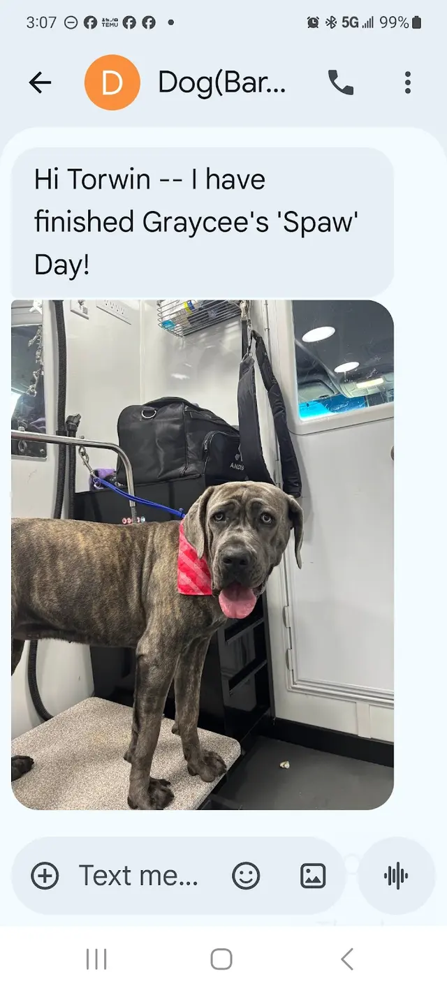 Barkbus Mobile Dog Grooming — customer photo 8