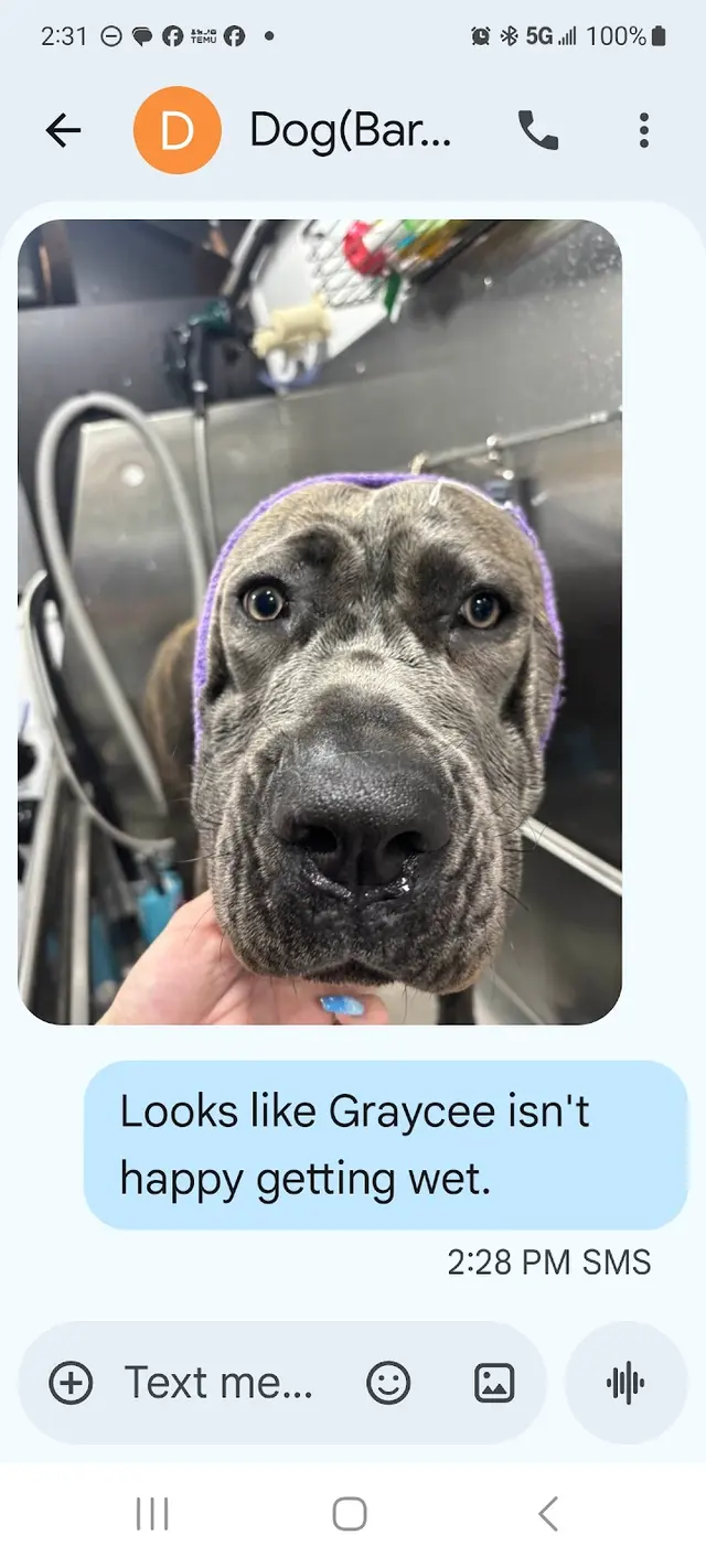 Barkbus Mobile Dog Grooming — customer photo 10