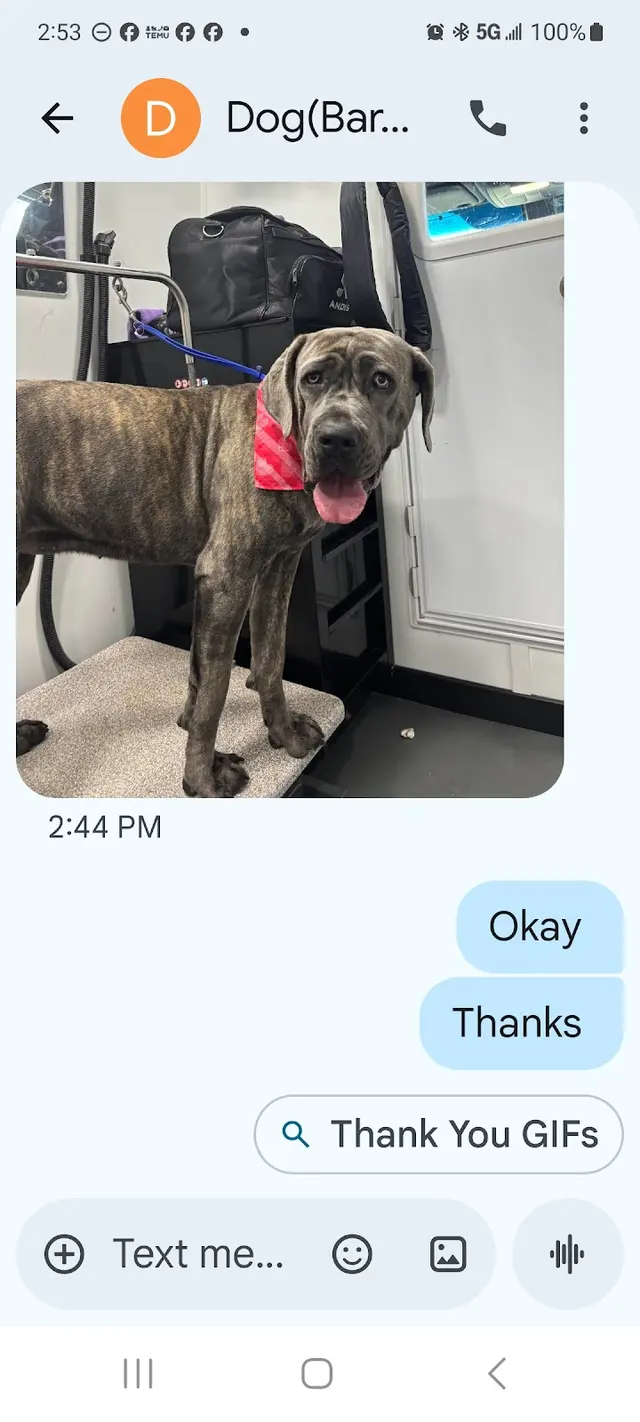 Barkbus Mobile Dog Grooming — customer photo 9