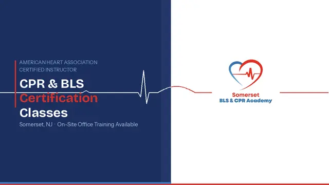 Somerset BLS and CPR Academy — photo from the business 4
