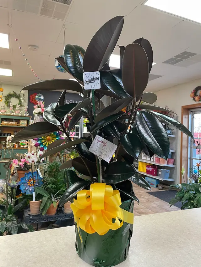 1st Center Floral & Garden — photo from the business 6