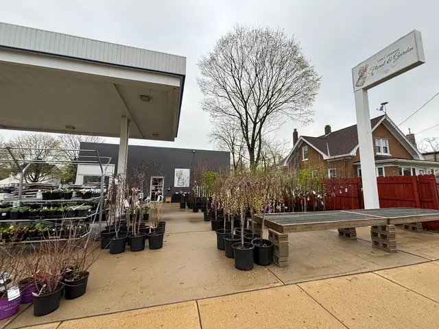 1st Center Floral & Garden — photo from the business 4
