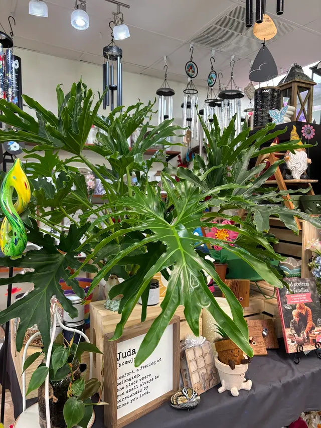 1st Center Floral & Garden — photo from the business 5