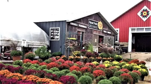 Pleasant Prairie Greenhouse / Urban Landscaping — photo from the business 10