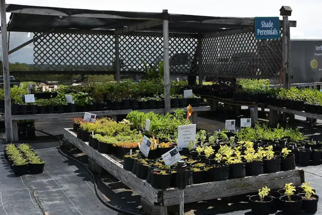 Pleasant Prairie Greenhouse / Urban Landscaping — customer photo 11
