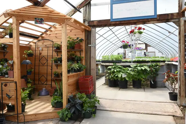 Pleasant Prairie Greenhouse / Urban Landscaping — customer photo 8
