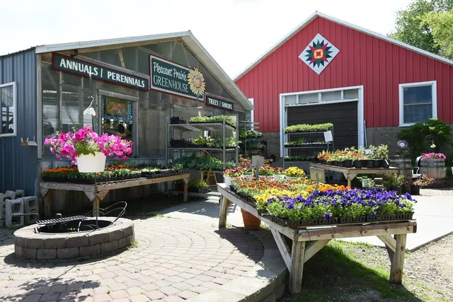 Pleasant Prairie Greenhouse / Urban Landscaping — customer photo 9