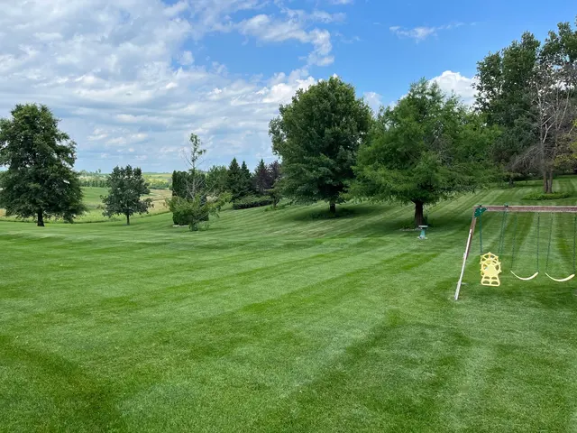 PoseyLawn — photo from the business 8