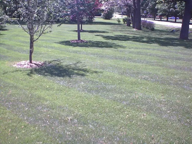 PoseyLawn — photo from the business 6