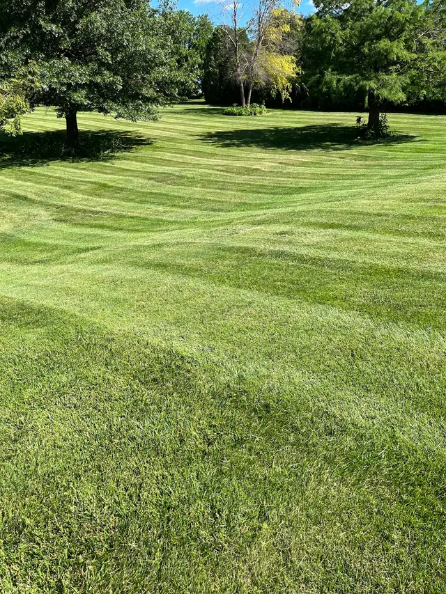 PoseyLawn — photo from the business 1
