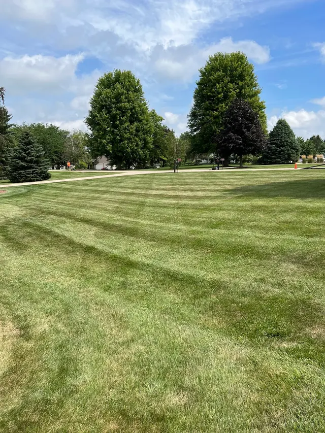 PoseyLawn — photo from the business 11