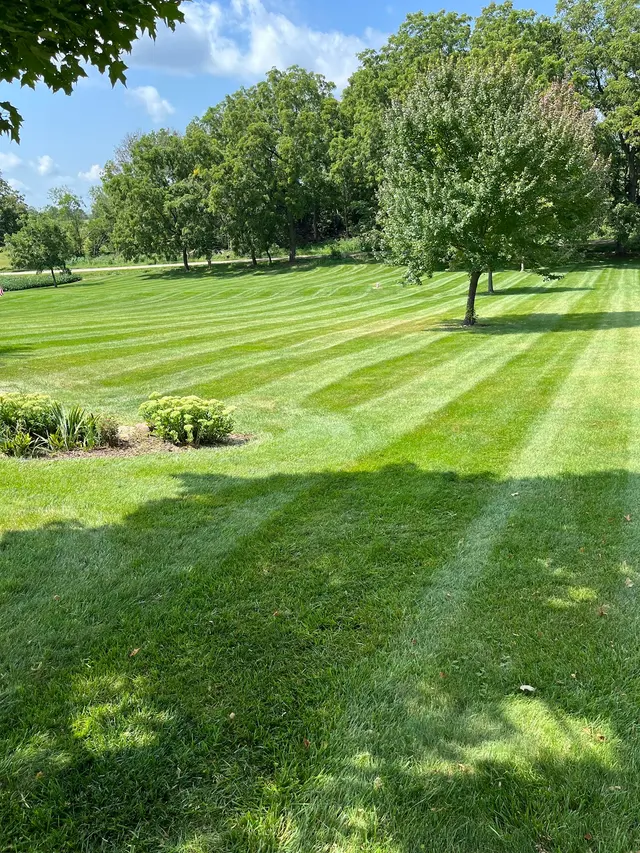 PoseyLawn — photo from the business 10