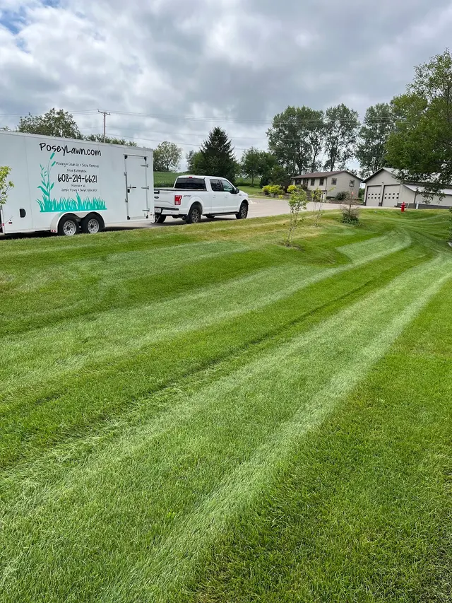 PoseyLawn — photo from the business 2