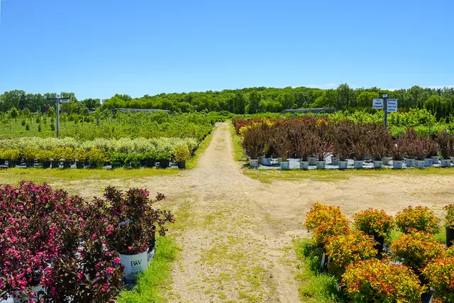 McKay Garden Center - Oregon — photo from the business 6
