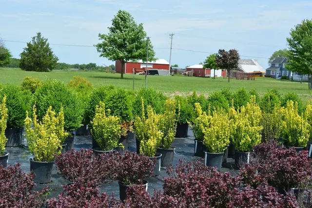 McKay Garden Center - Oregon — photo from the business 12