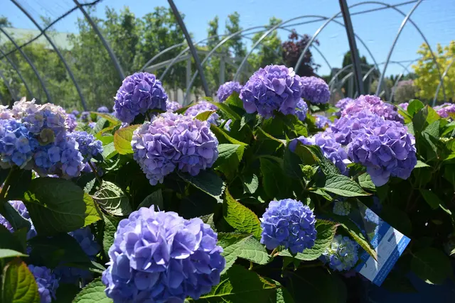 McKay Garden Center - Oregon — photo from the business 10