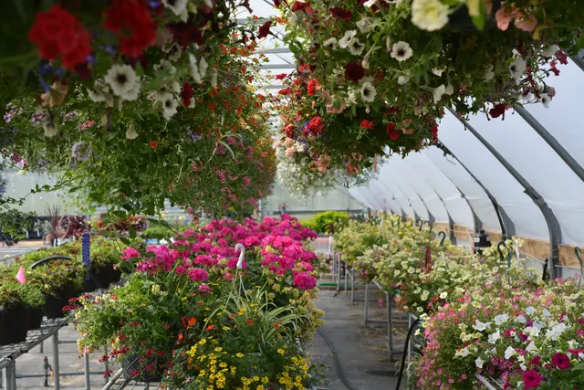McKay Garden Center - Oregon — photo from the business 2