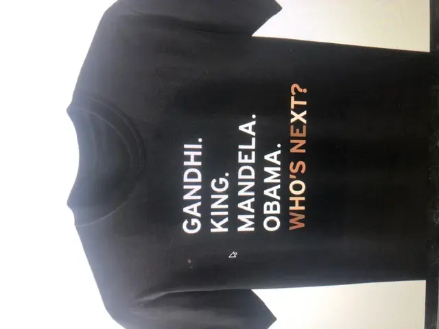 Designer T's — photo from the business 11