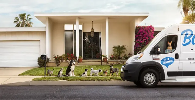 Barkbus Mobile Dog Grooming — photo from the business 7