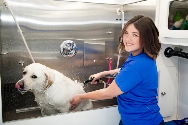 Barkbus Mobile Dog Grooming — photo from the business 9