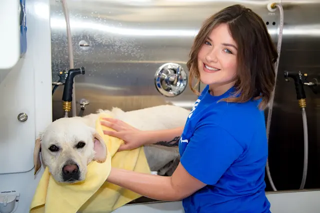 Barkbus Mobile Dog Grooming — photo from the business 4