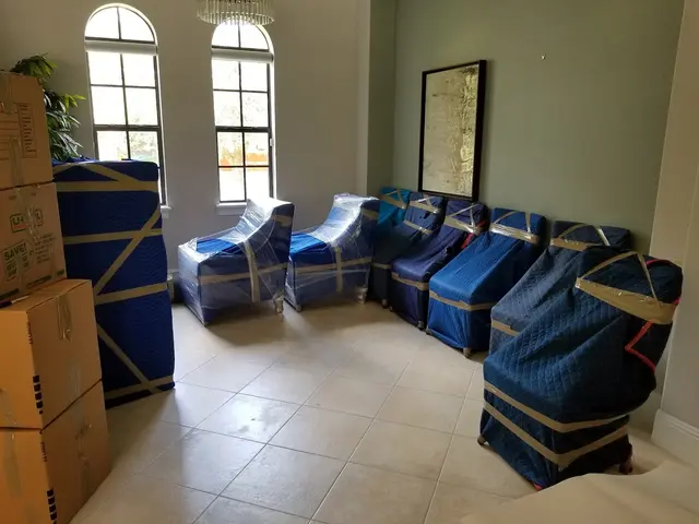 Best USA Movers Orlando — photo from the business 12