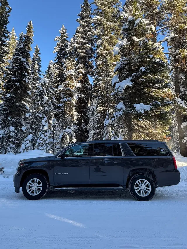 Mountain Mule Transportation — photo from the business 1