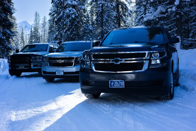 Mountain Mule Transportation — photo from the business 2