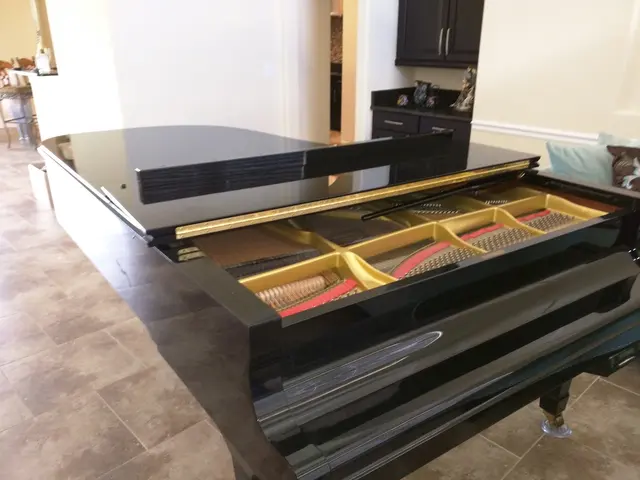 Sebastian Moving — photo from the business 12