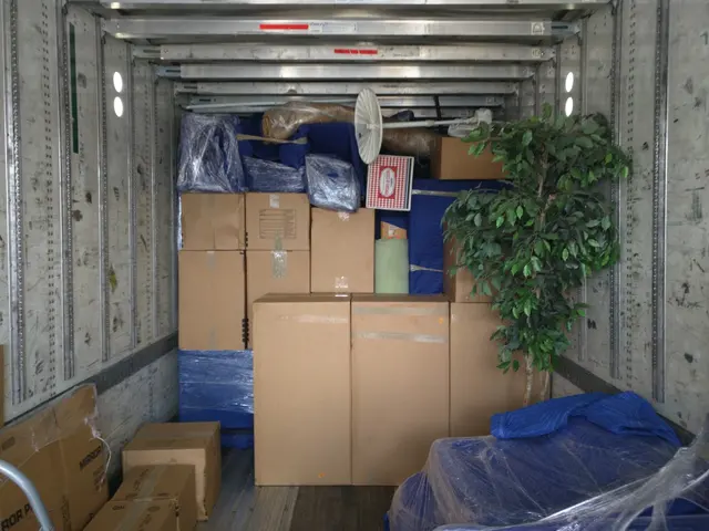 Sebastian Moving — photo from the business 8