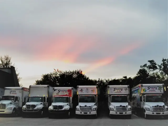 Sebastian Moving — photo from the business 6