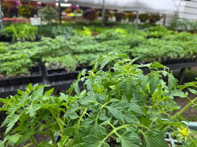 Van Vugt Farms — customer photo 8