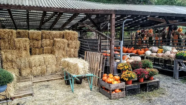 Van Vugt Farms — customer photo 7