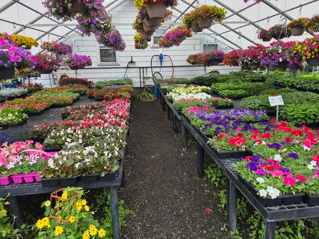 Van Vugt Farms — customer photo 2