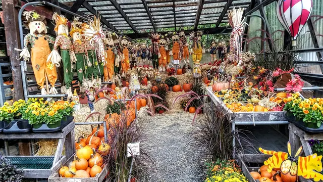 Van Vugt Farms — customer photo 1