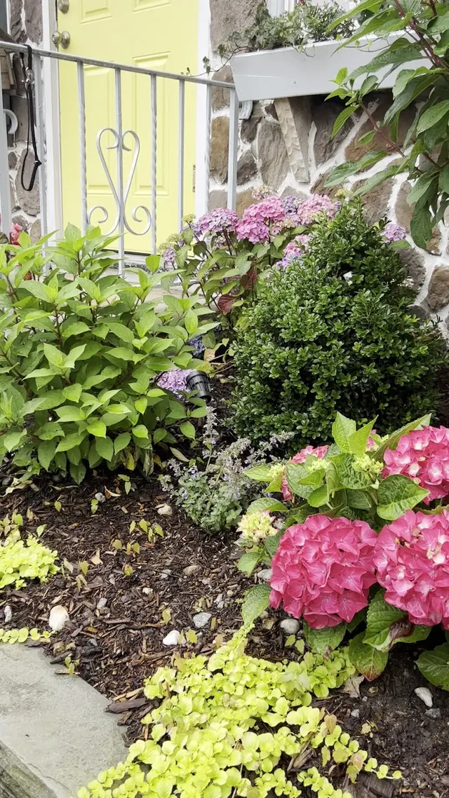 New Bridge Farm & Garden — customer photo 6
