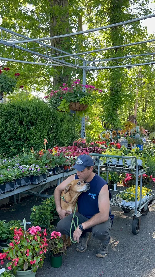 New Bridge Farm & Garden — customer photo 5
